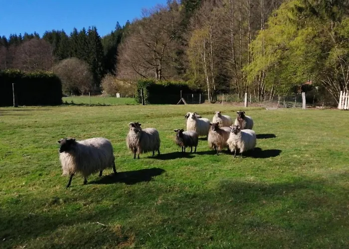 Prázdninový dům Garden *