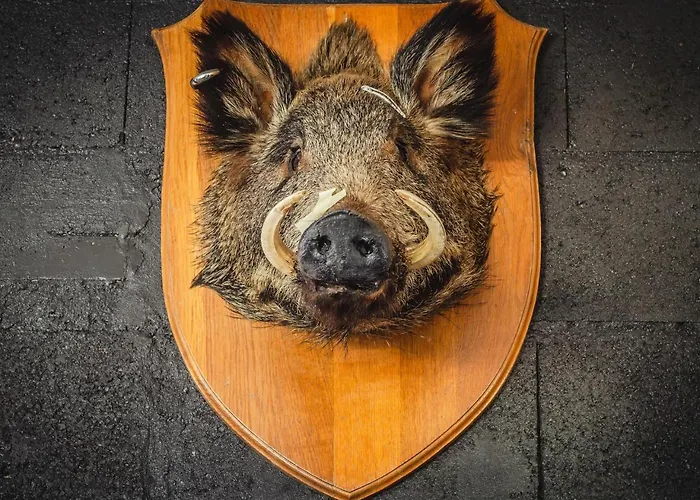 Garden Prázdninový dům *